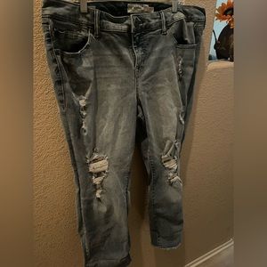 Torrid - Distressed lace jeans - 20